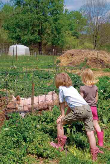 Treating animals with honor and respect helps children develop a worldview based in kindness.